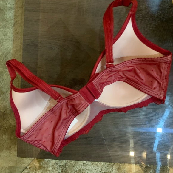 Enamor padded, no underwire - Picture 4 of 6